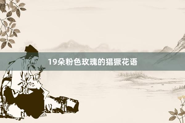 19朵粉色玫瑰的猖獗花语