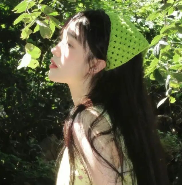特种兵王